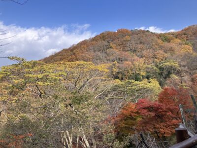 妙見山の紅葉