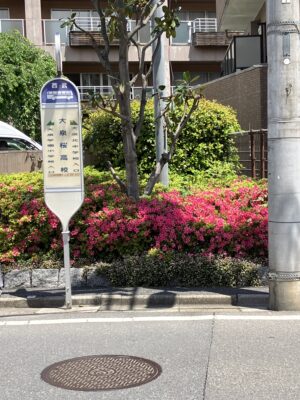 大泉桜高校バス停