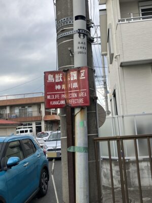 鳥獣保護区