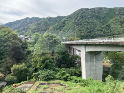 青根の自然