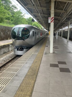 Laview西武秩父行き