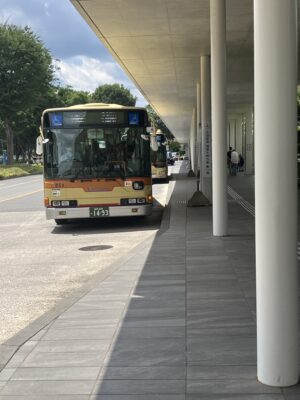大59系統麻溝台経由相模大野駅行き