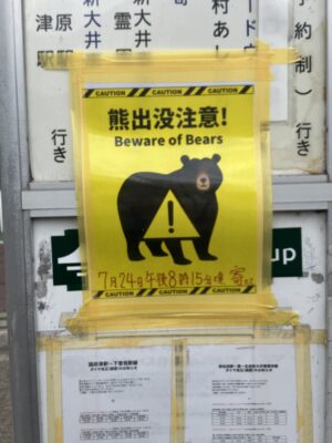 熊出没注意