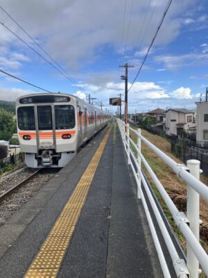 相模金子を出る315系3000番台