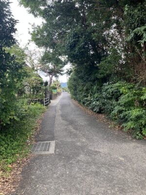 郵便局への道