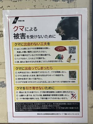 クマによる被害を受けないために